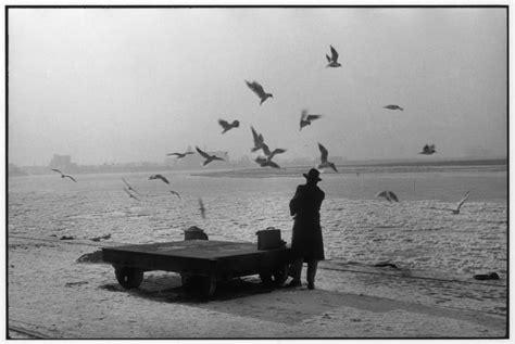 cartier bresson 1956 pdf.